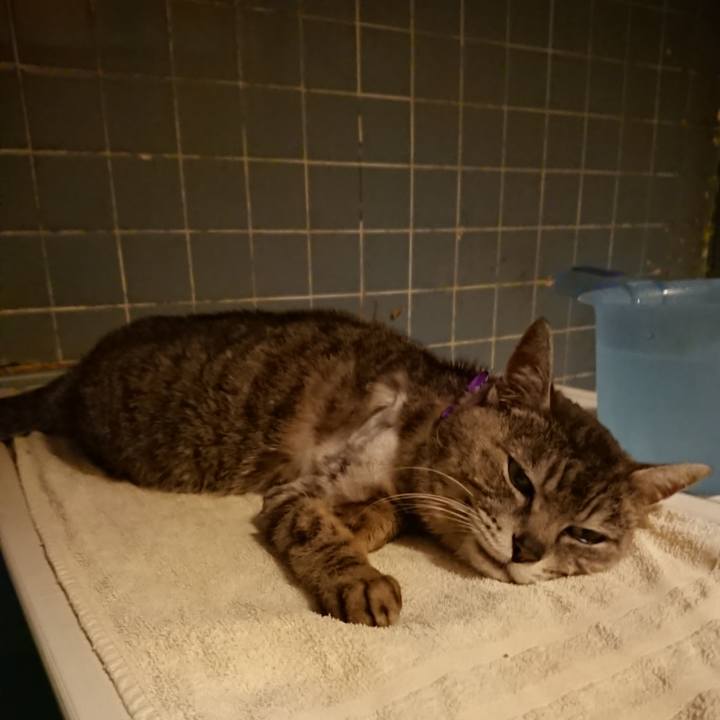 22704d40 4fcd 4084 a84c 15f2ea10a53f 1590315837839