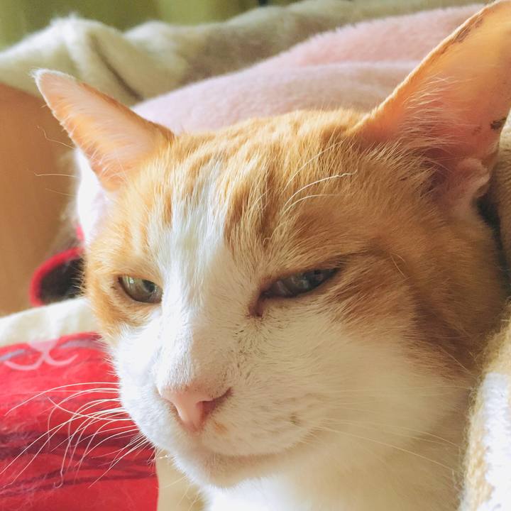 22709e31 7bb4 4a83 b686 13ff47efd3be 1562913067814