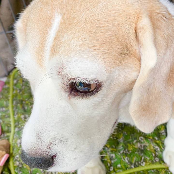 2270b6bf 3610 4b86 85b1 8ed427059bdc 1594266464999