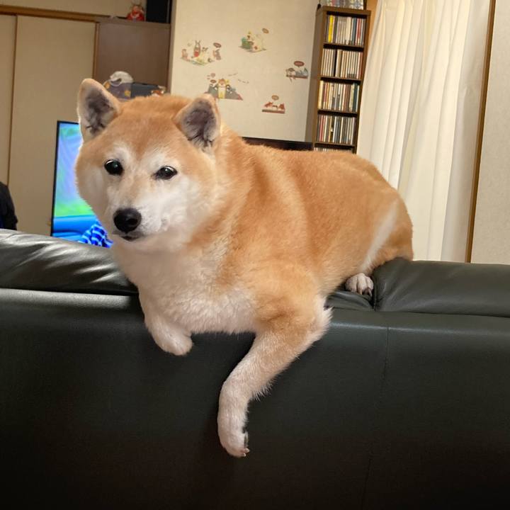 2270eae0 b654 4b5a abc9 f8a3c817ade7 1626991534124