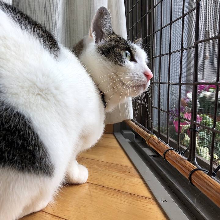 22710fad 96ca 431f 96be e9d49cad7997 1644282191240