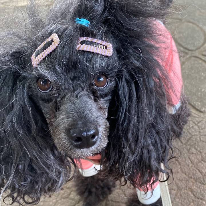 227120de 21e2 4c51 9d2c cb08ebd01562 1685928444676