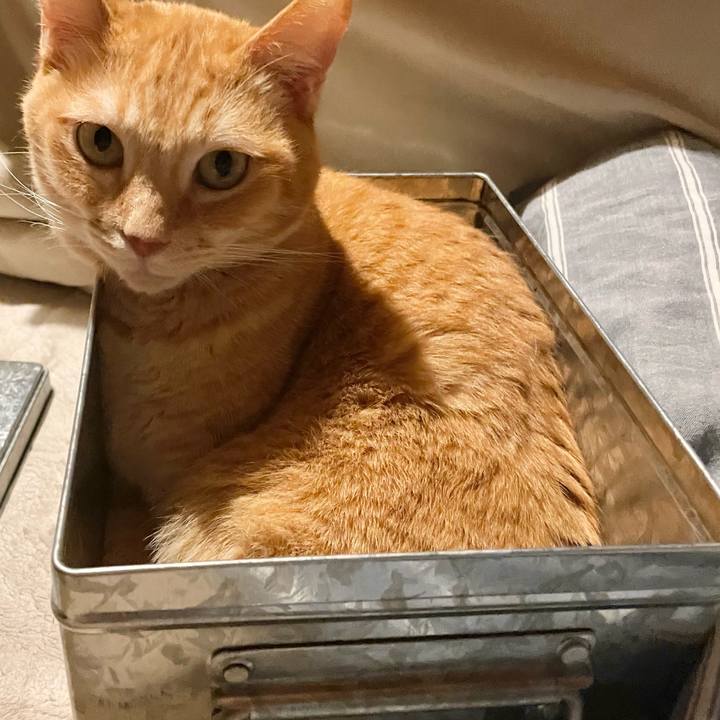 22713679 5449 47c7 93a1 fb1931e476a0 1771070401182