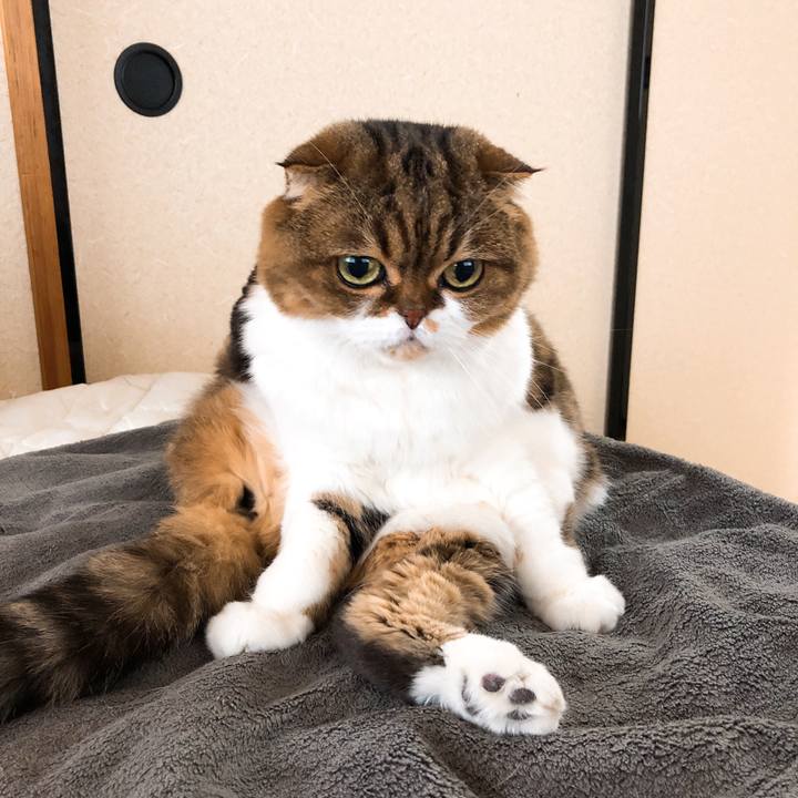 22716343 27d8 432a 9423 7f6ff4a81409 1544674656865