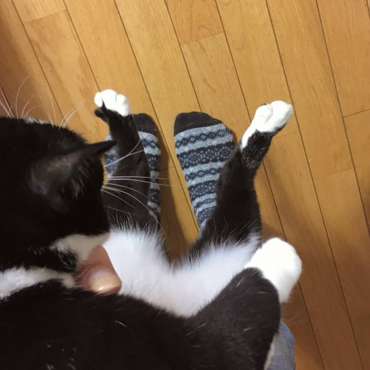 22718470 ad3d 426e 9a79 abd25841bb5c 1775827749680