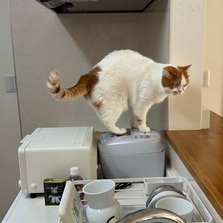 227199f3 3330 4356 8200 d7fd018d8f4e 1767060946547