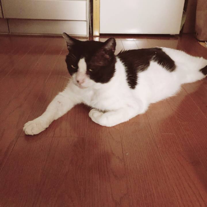 22723f97 d9f8 4f59 aa05 d06c6819880e 1623814046389