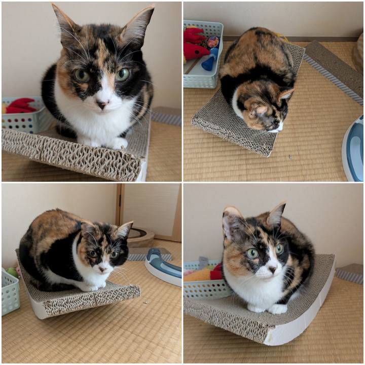 22726a6d 5f3c 419a b606 3fe6c8a06278 1742355509740