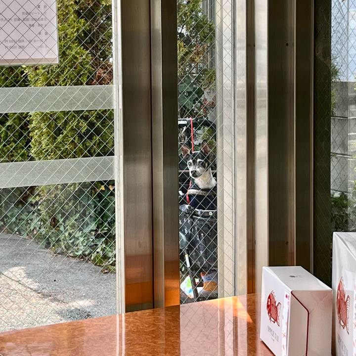 227271ab 4243 4c4d 883e 0d250180fe61 1647149188397