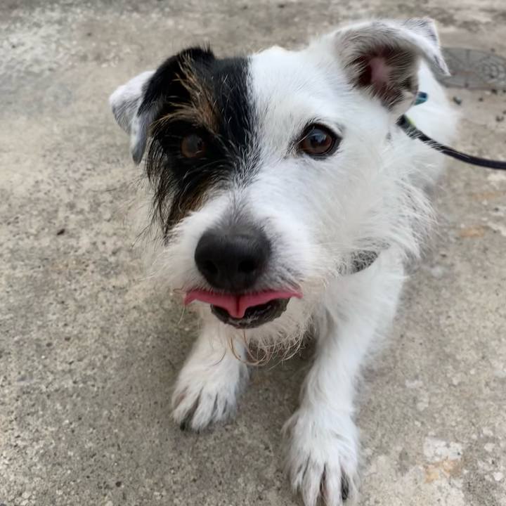 2272b7d2 530b 4e9b 80b0 614925055a4e 1656492992514