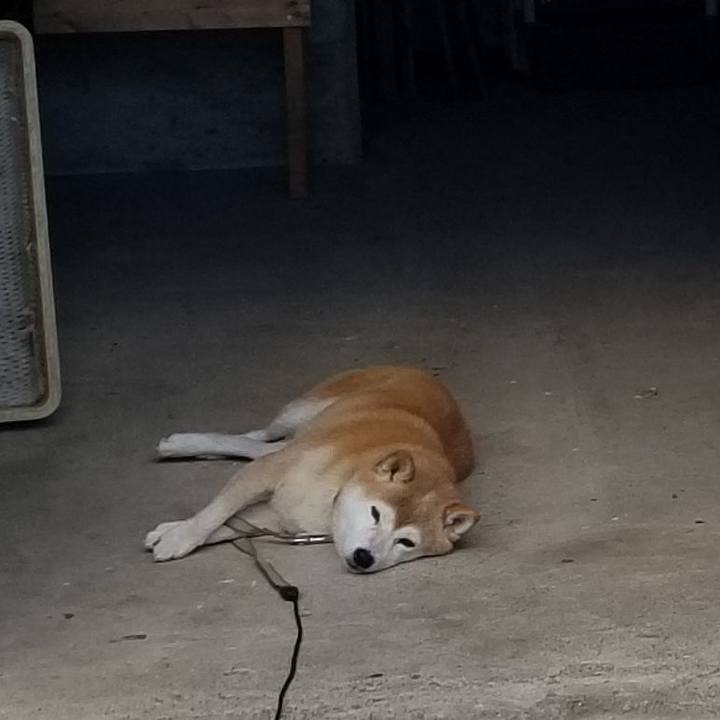 2272cdda 39a6 4d10 835b 5cbfe7a31267 1661663340451