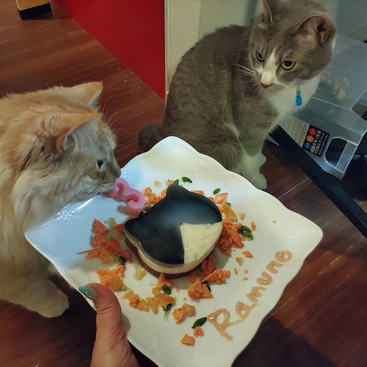 2272d128 f63e 4d44 8a14 c785c801cf99 1654945718118