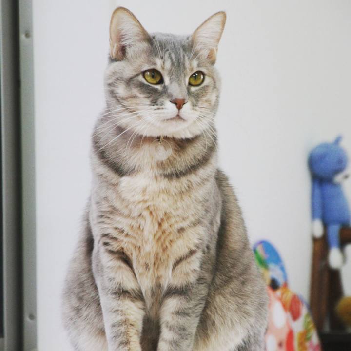 22730375 ddd1 4a22 b13f 158612be0691 1517967643095