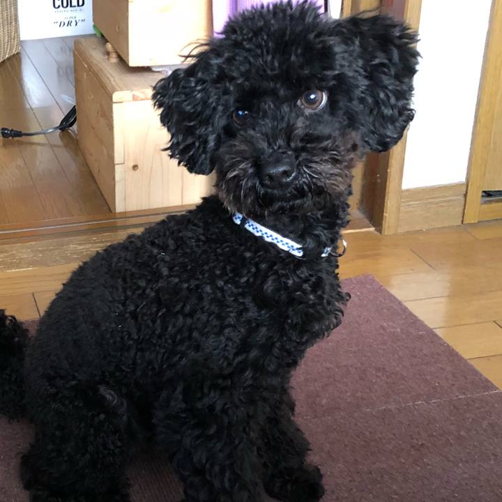 2273041f d421 4f55 986b 837d6240328a 1515678287786