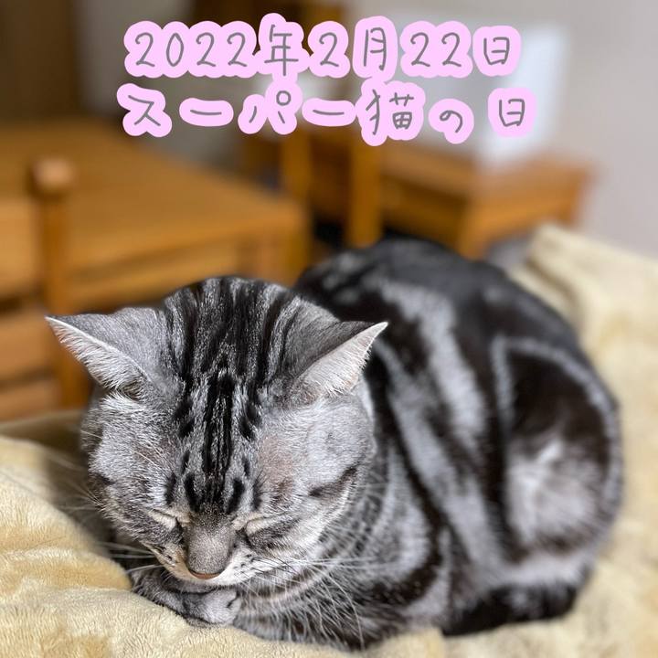 227307f8 3922 4f8a 8a6f 1b645146859d 1645502258901