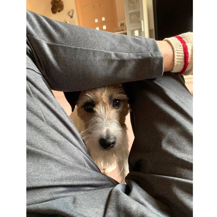 22731bf1 fe47 4db6 b216 d7c6ad318717 1589603642659