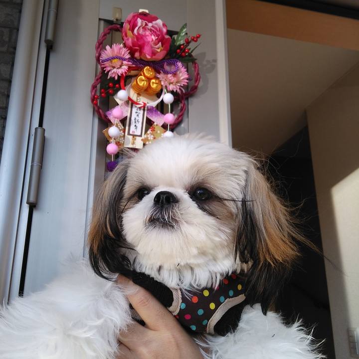 227379cf 4e58 4946 ac7c f4facdd71539 1546315230576