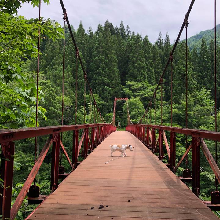 22739fbc c559 496b a42e 2b6c44665b5d 1592461600991