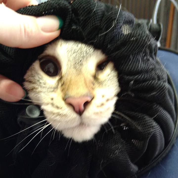 2273b8bf 3054 4a9c a7a4 6e81a19b7e6c 1625644427802