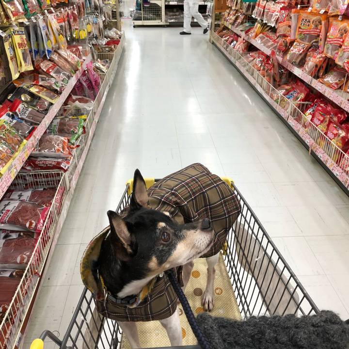 2273ff44 ed1b 45a8 b021 72675c080c98 1515375186189