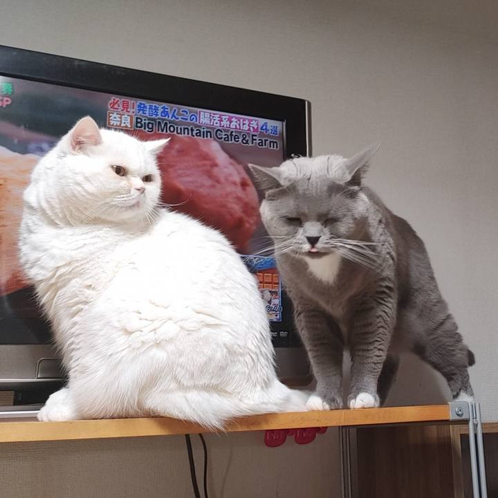 2273ffb8 f983 4946 a239 31891891a855 1705012022409