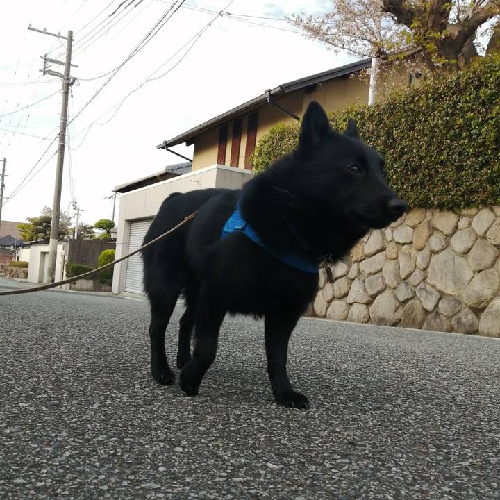 22741fc0 c14d 431d b23e 8521195f3ec4 1617660190898