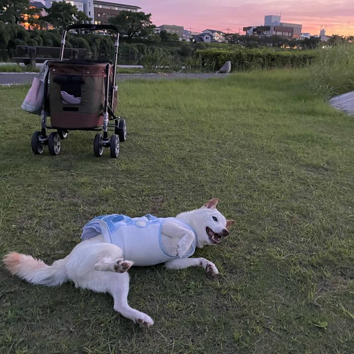 2274324d 377a 4572 af79 7ebbbd96cf8b 1660828159795