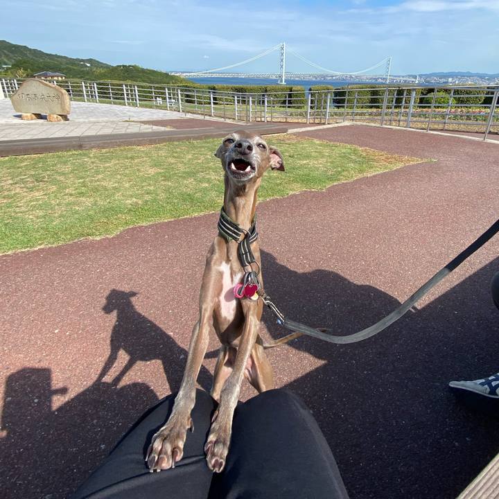 22743a58 0f70 4794 986e 06d368cd37c7 1758890403934