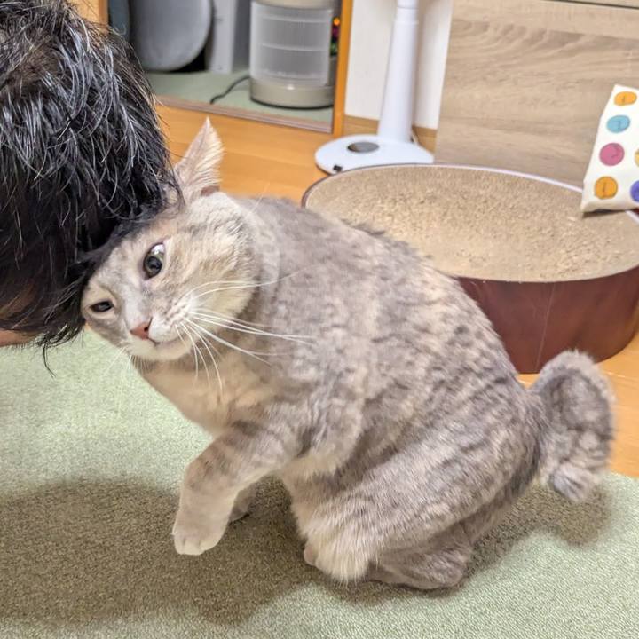 22744e83 09e1 4005 a6dd 8f0b83d8be32 1736582235404