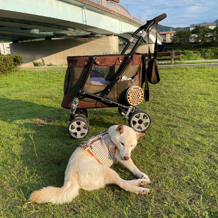 227451cb 565b 48e9 8a87 f91be92d0aeb 1656251550855