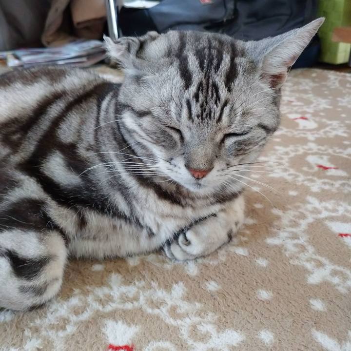 22745c13 f91f 4b89 8168 893d259b380b 1581857488646