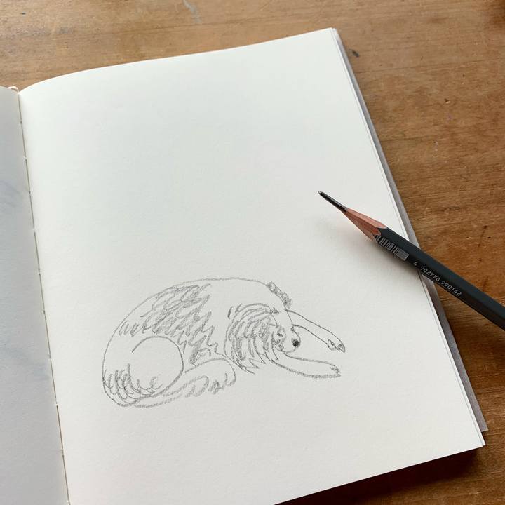 2274d6dd dfbc 4eac adcb 1cc433100b3d 1583281667626