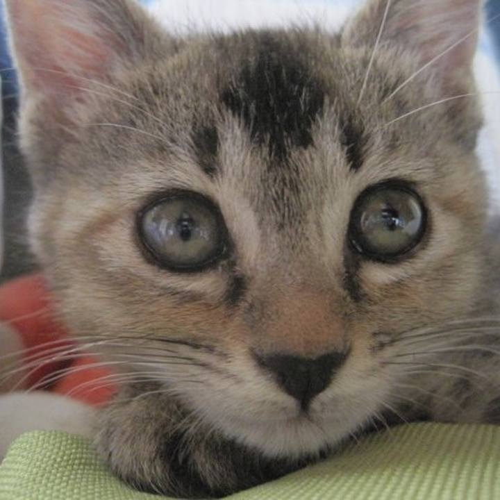 2274e1b7 8397 4498 86a0 89fb10ac1765 1576494180931