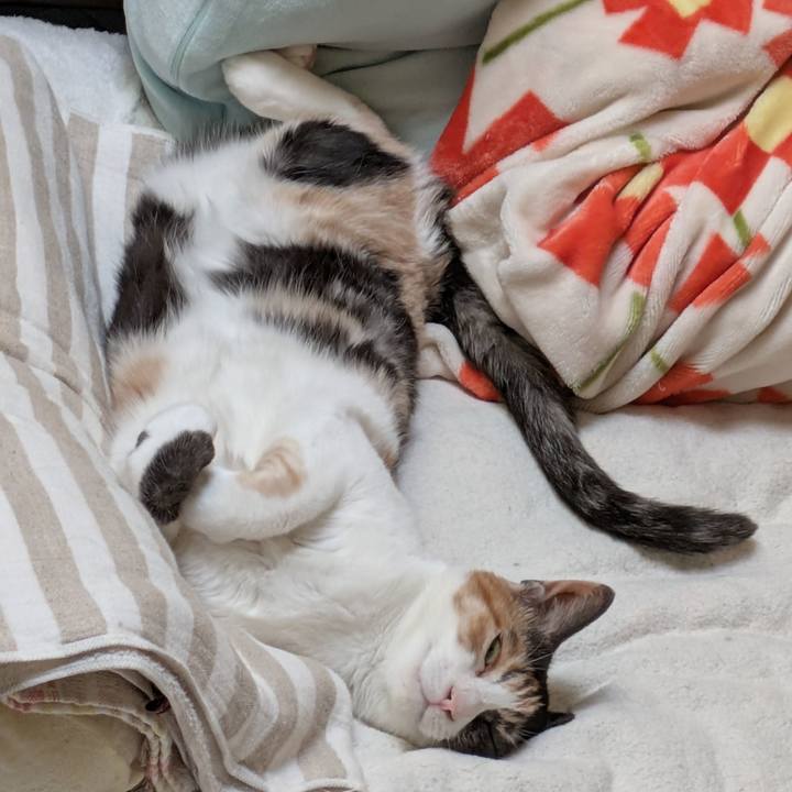 2274f3df f88a 41cd ab8a f452baf66e27 1754625286728