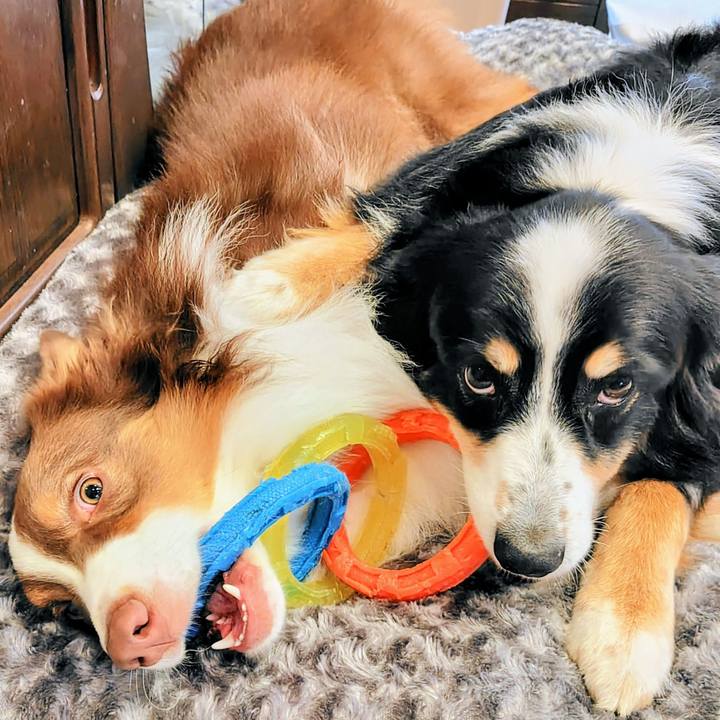 22755134 f43a 452f 9915 7be16deb0448 1763812072822