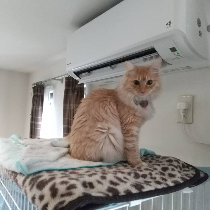 22755b09 9291 4e70 b01f 18a8ccea4e4c 1646350534704