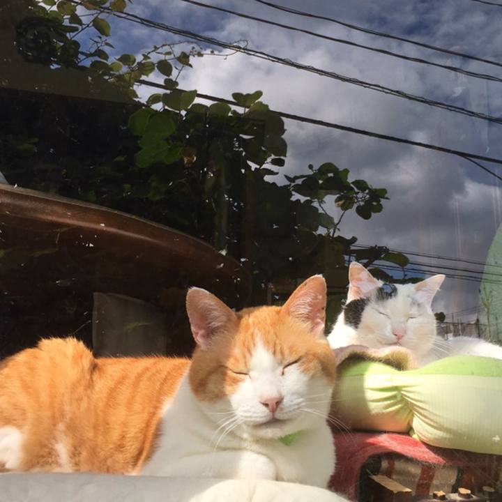 2275a9a1 b132 47f4 a717 0f02340747d7 1559974366315