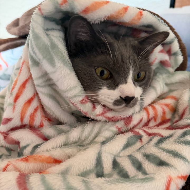 2275bddf 3709 47f8 be36 d89a161190df 1761352747745