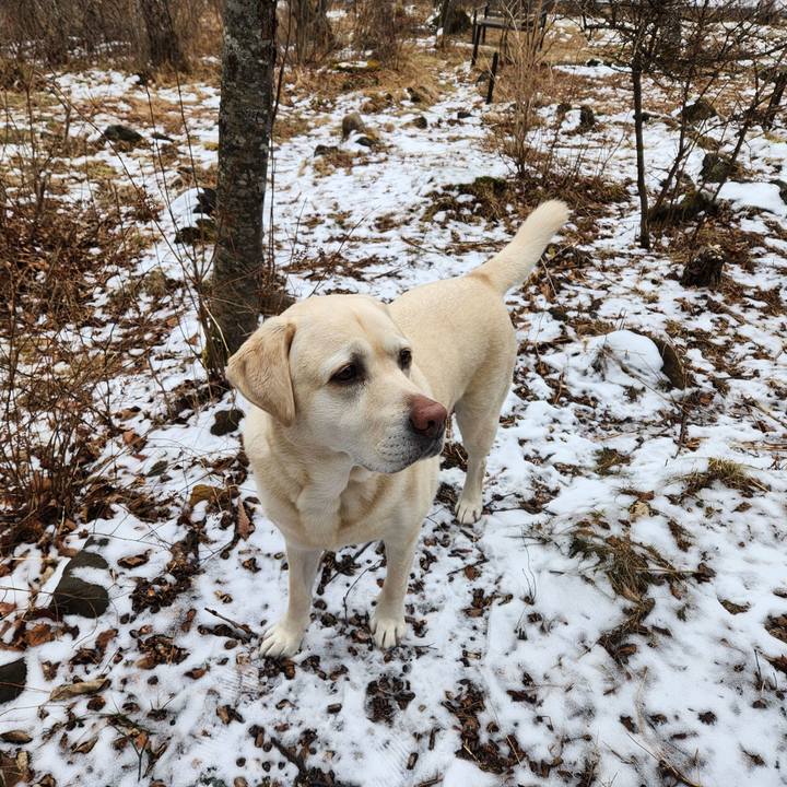 2275efae 8213 4a12 bd8b 368b3e2c66c8 1704268130402