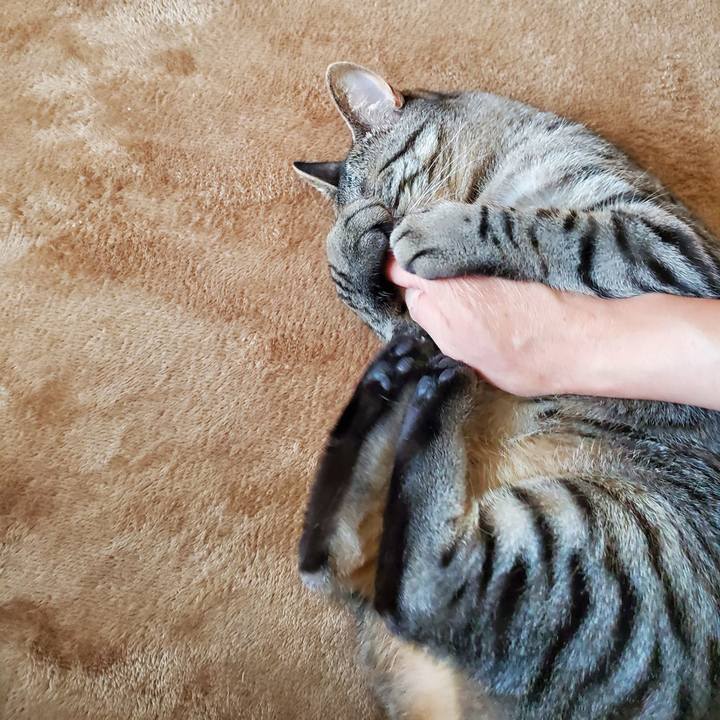 22763ae3 a96e 45e4 854d 49da468cc7f5 1712659637671