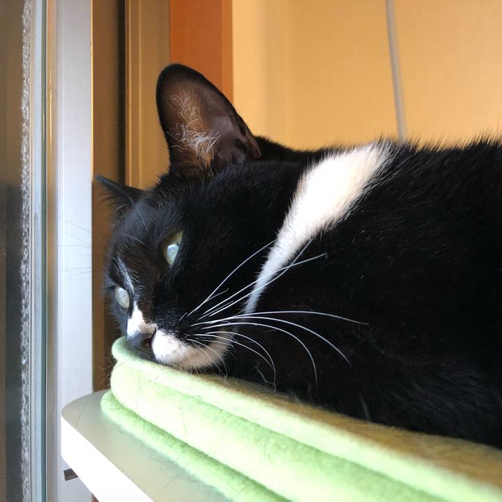 22766851 cb7c 4115 8cc5 9b74417b0999 1508708948497