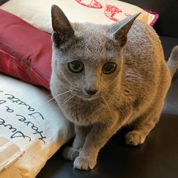 22768dea f3ac 4932 93bb 519ccade8ad9 1580254172394