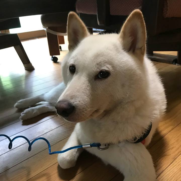 22769a74 17e9 4939 9285 1c21dff7166b 1534107240139