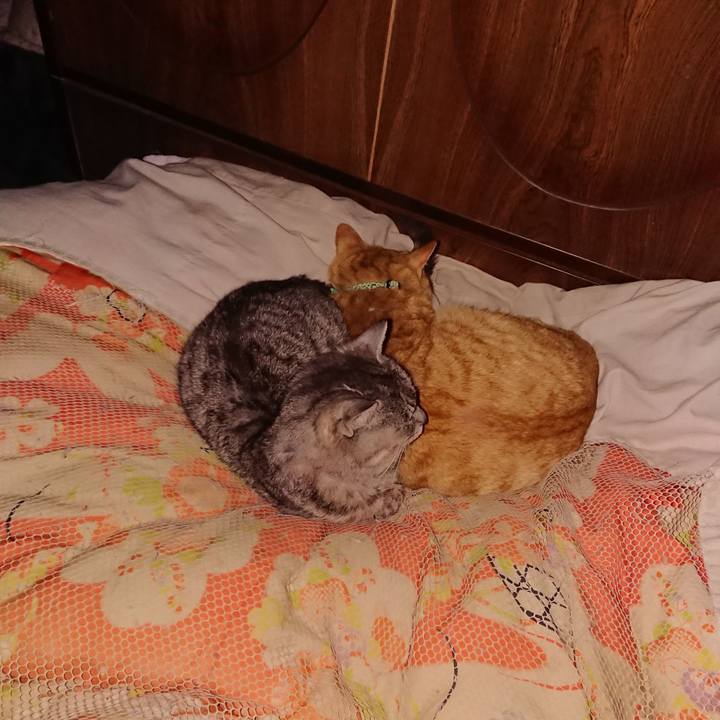 2276a084 43cc 4ef7 9a0c 2385c0db8e9e 1584543091681