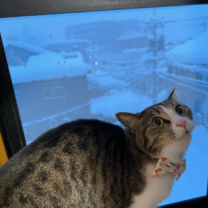 2276b284 1909 4070 9fad 59895409e3a7 1769292738959