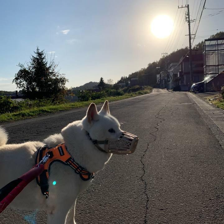 2276c319 2e0c 4925 b34f 10a9b2925921 1665529235617