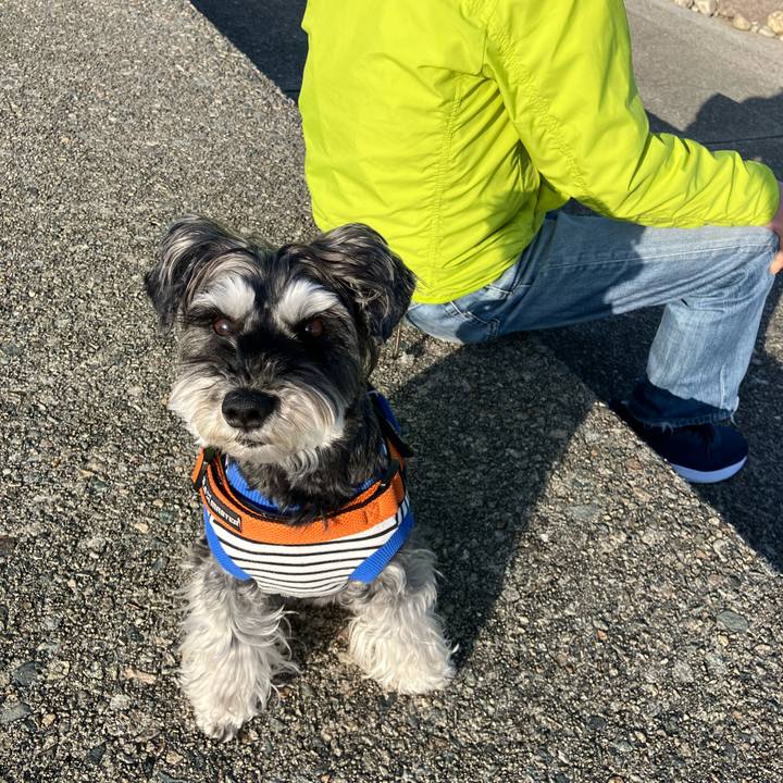 22771fca 9715 4302 bc0b 8f1e8aef2dc3 1743841419862