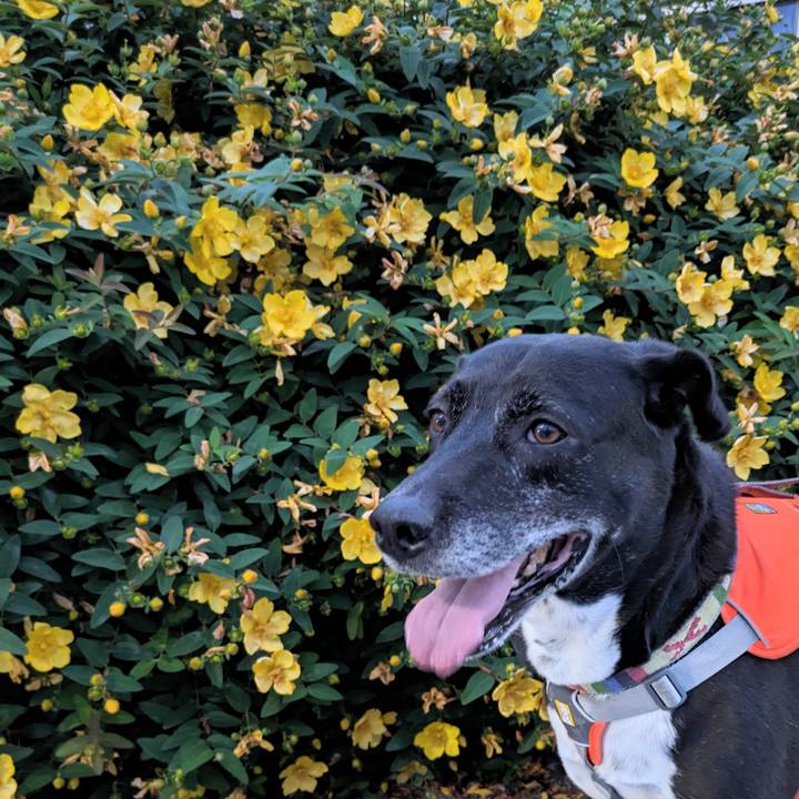 227739f2 9cda 4e22 968b 985b4ec940e2 1717672086513