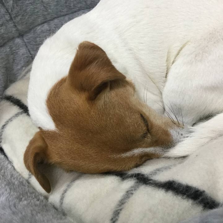 22774d27 829d 414b 8c87 bb0947c4147b 1555299199777