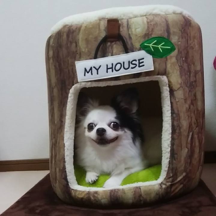 2277550d ef7c 4cfd 9f97 b2c5b577fda6 1538919354249